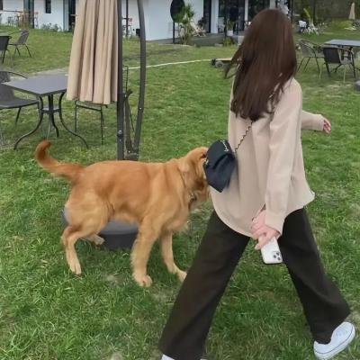 风吹父子心